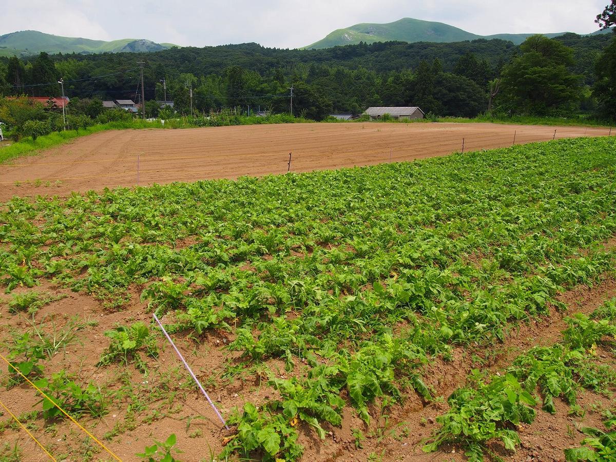 Yamano-Ie Hiraodai 北九州 外观 照片